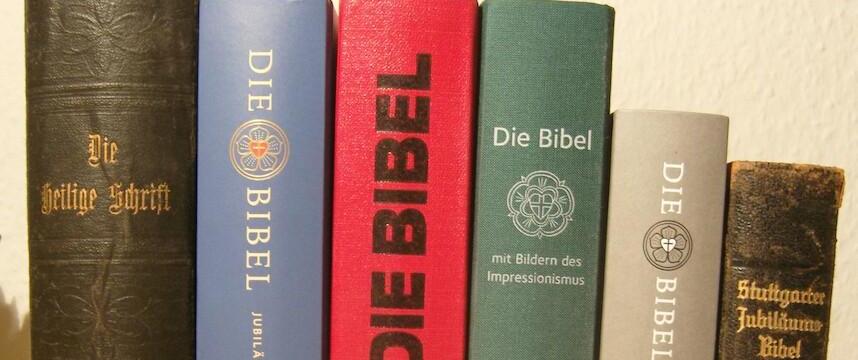 Bibelrücken_verschiedene